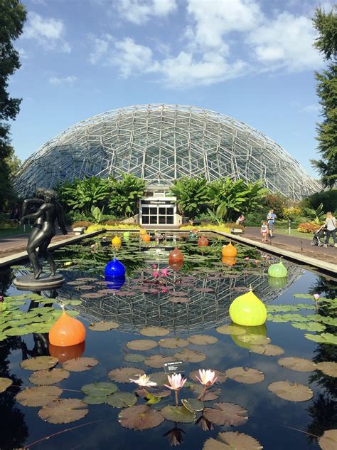 Mo botanical gardens st louis - The Garden is located at 4344 Shaw Boulevard in South St. Louis. It's open daily from 9 a.m. to 5 p.m. General admission is $12 for adults and $6 for residents of St. Louis City and County. Children 12 …
